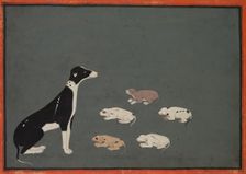 Dog with pups, c. 1780. Creator: Unknown