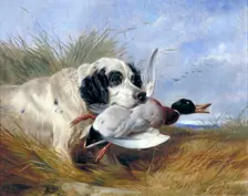 Dog with Wild Duck 19th century. Artist: Richard Ansdell