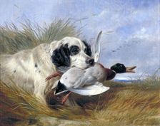 Dog with Wild Duck 19th century. Artist: Richard Ansdell