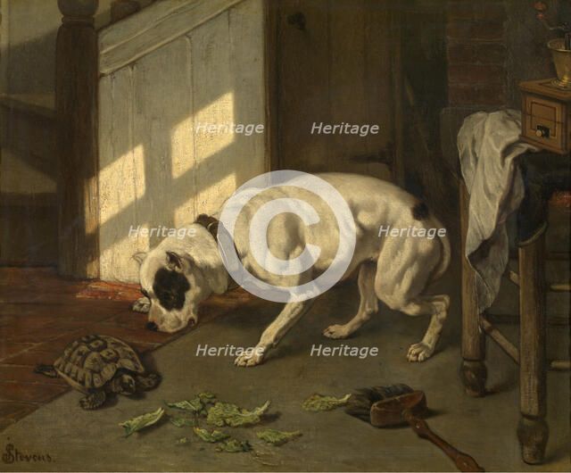 Dog with Tortoise, c1840-1890. Creator: Joseph Stevens.