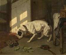 Dog with Tortoise, c1840-1890. Creator: Joseph Stevens