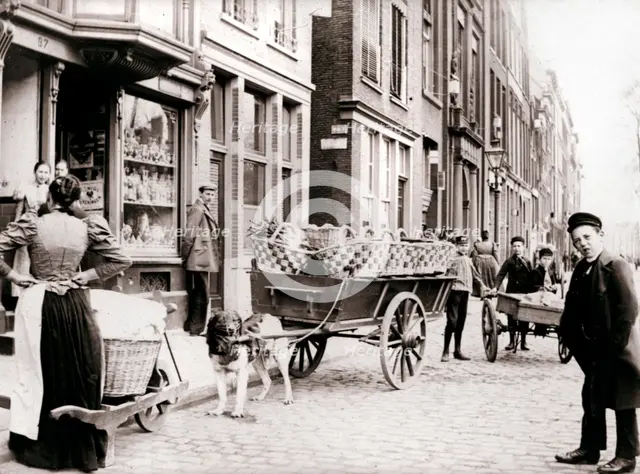 Dogcart, Antwerp, 1898.Artist: James Batkin