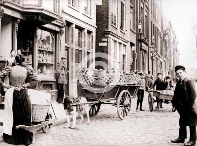Dogcart, Antwerp, 1898.Artist: James Batkin