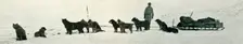 Dogs with Stores About to Leave Hut Point c1911, (1913). Artist: Herbert Ponting
