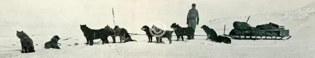 'Dogs with Stores About to Leave Hut Point', c1911, (1913). Artist: Herbert Ponting.