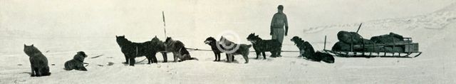 'Dogs with Stores About to Leave Hut Point', c1911, (1913). Artist: Herbert Ponting.