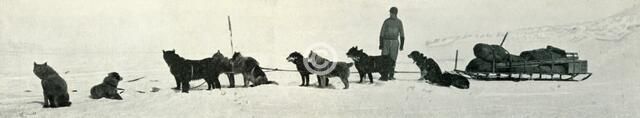 'Dogs with Stores About to Leave Hut Point', c1911, (1913). Artist: Herbert Ponting.