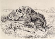 Dogs Worrying a Frog, c1860. Creator: Edwin Henry Landseer