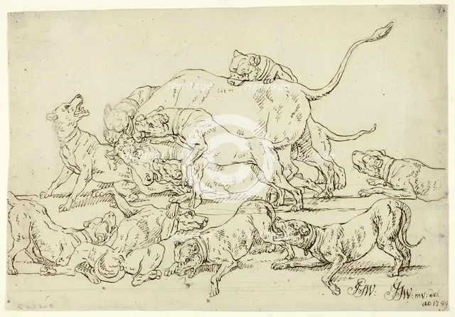 Dogs Attacking a Bull, 1789. Creator: Joseph Georg Winter.