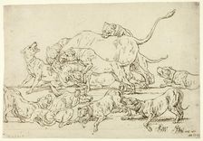 Dogs Attacking a Bull, 1789. Creator: Joseph Georg Winter