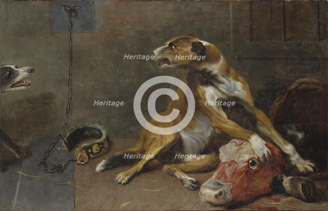 Dogs Fighting over a Flayed Ox's Head, early-mid 17th century. Creator: Workshop of Frans Snyders.