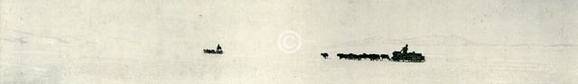 'Dogs Galloping Towards The Barrier', c1911, (1913). Artist: Herbert Ponting.