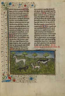 Dogs; Livre de la Chasse, about 1430-1440. Creator: Unknown