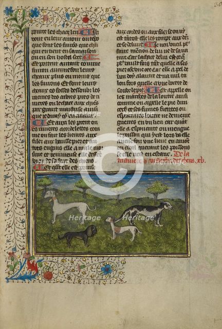 Dogs; Livre de la Chasse, about 1430-1440. Creator: Unknown.