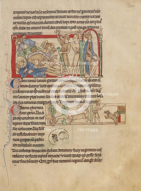 Dogs; Northumberland Bestiary, about 1250-1260. Creator: Unknown.