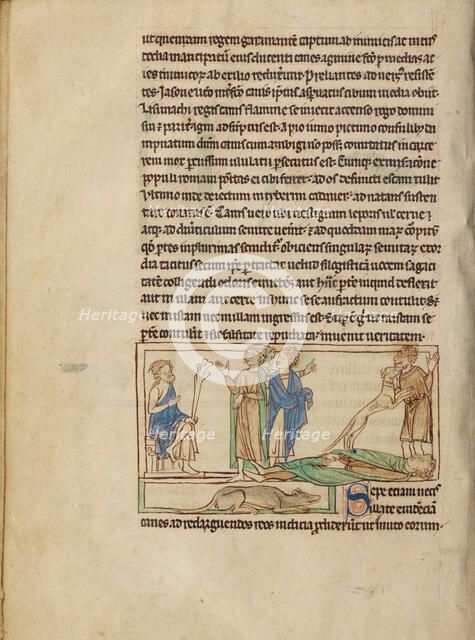 Dogs; Northumberland Bestiary, about 1250-1260. Creator: Unknown.