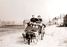Dogs pulling women on a cart, Antwerp, 1898.Artist: James Batkin