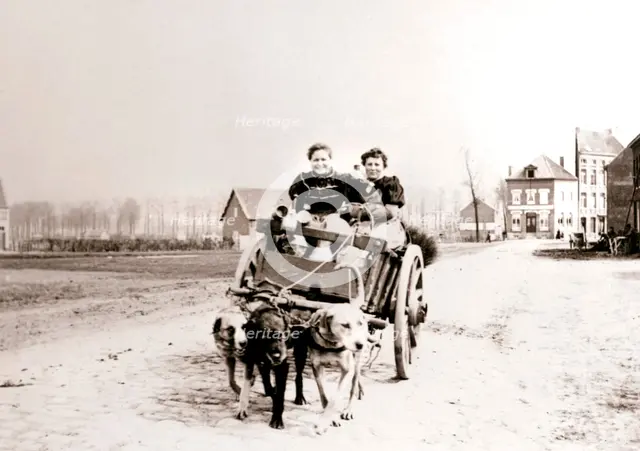 Dogs pulling women on a cart, Antwerp, 1898.Artist: James Batkin