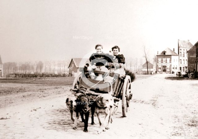 Dogs pulling women on a cart, Antwerp, 1898.Artist: James Batkin