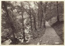 Dolgelley, View in Torrent Walk, 1860/94. Creator: Francis Bedford