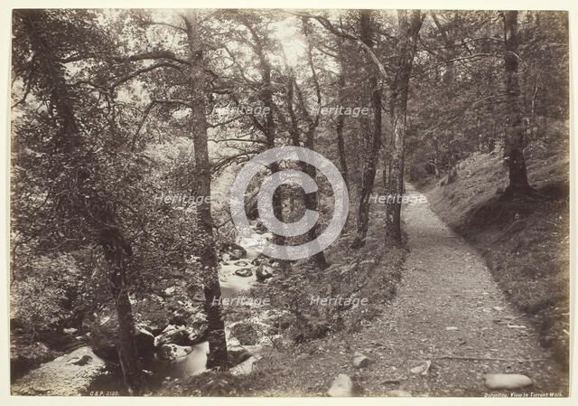 Dolgelley, View in Torrent Walk, 1860/94. Creator: Francis Bedford.