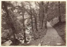 Dolgelley, View in Torrent Walk, 1860/94. Creator: Francis Bedford
