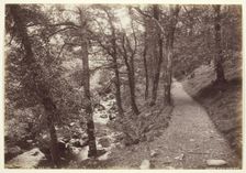 Dolgelley, View in Torrent Walk, 1860/94. Creator: Francis Bedford