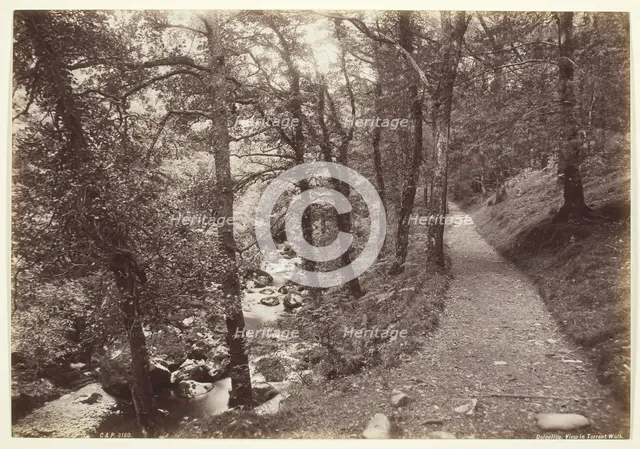 Dolgelley, View in Torrent Walk, 1860/94. Creator: Francis Bedford.