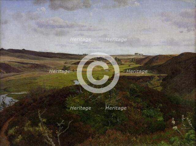 Dollerup Hills near Hald, 1869. Creator: Vilhelm Kyhn.