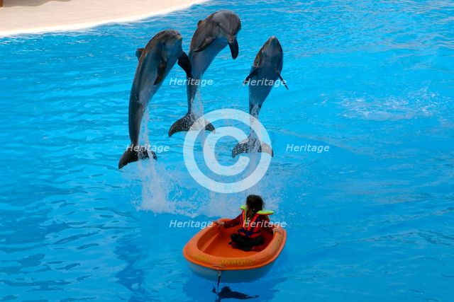 Dolphin show, Loro Parque, Tenerife, Canary Islands, 2007. Creator: Peter Thompson.