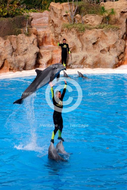 Dolphin show, Loro Parque, Tenerife, Canary Islands, 2007. Creator: Peter Thompson.