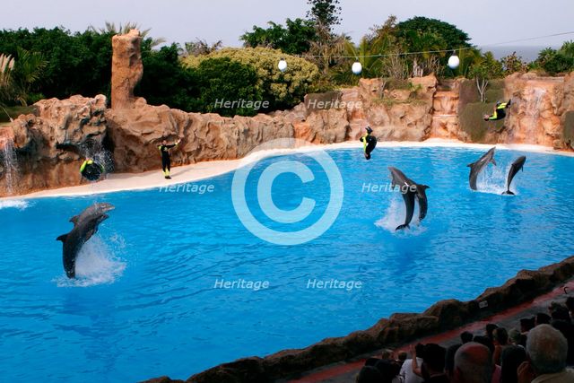 Dolphin show, Loro Parque, Tenerife, Canary Islands, 2007. Creator: Peter Thompson.