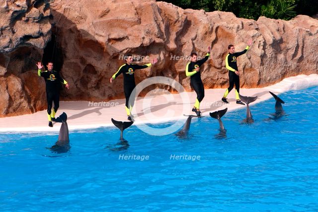 Dolphin show, Loro Parque, Tenerife, Canary Islands, 2007. Creator: Peter Thompson.