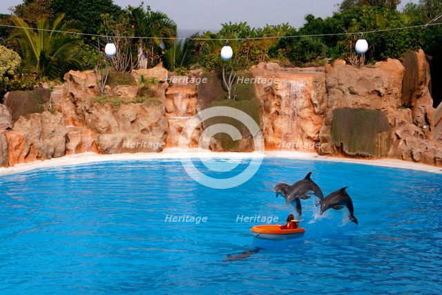 Dolphin show, Loro Parque, Tenerife, Canary Islands, 2007. Creator: Peter Thompson.