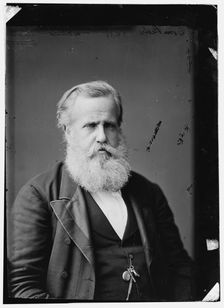 Dom Pedro II of Brazil, 1876. Creator: Unknown