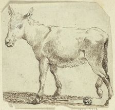 Donkey, n.d. Creator: Unknown