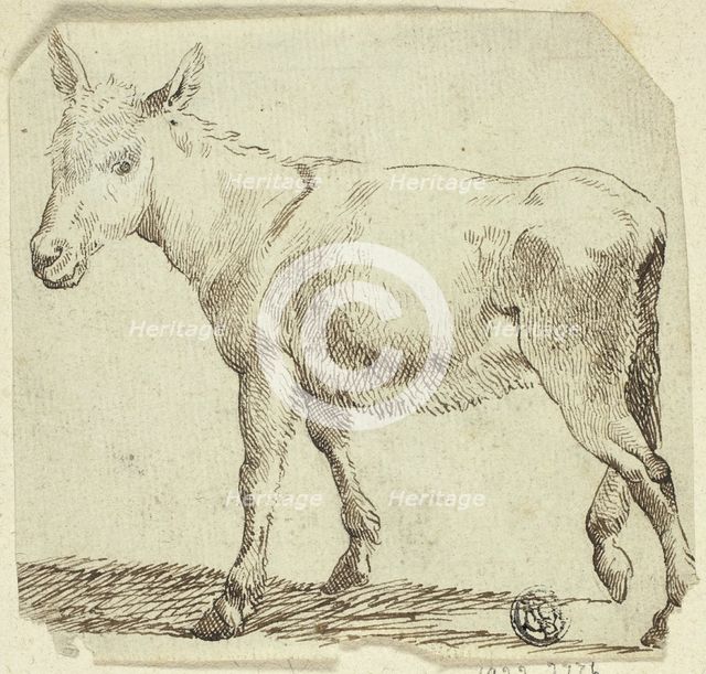 Donkey, n.d. Creator: Unknown.
