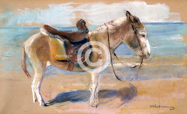 Donkey on the beach of Noordwijk, 1908. Creator: Liebermann, Max (1847-1935).