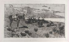 Donkey and goats on a seashore in winter, 1884-1908. Creator: Giovanni Fattori