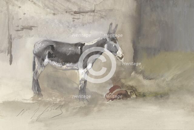Donkey in a stable, 1856-1882. Creator: Jules baron Finot.