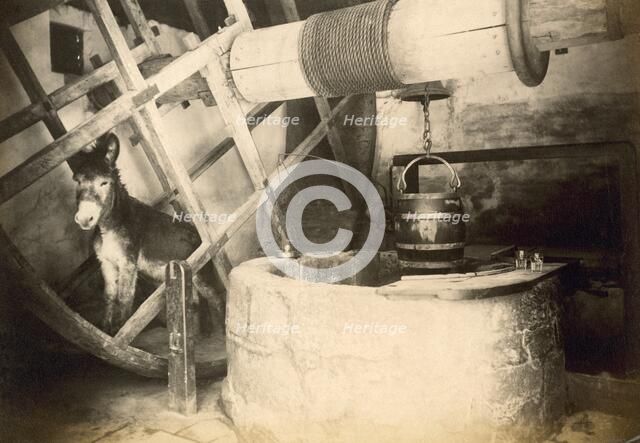 Donkey in the Well House, Carisbrooke Castle, Isle of Wight, c1850-c1900. Artist: FN Broderick.