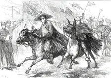 Donkey Race at the Gibraltar Athletic Sports in the presence of the Prince of Wales...1876. Creator: C.R.
