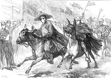 Donkey Race at the Gibraltar Athletic Sports in the presence of the Prince of Wales...1876. Creator: C.R.