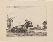 Donkey Resting, 1642. Creator: Stefano della Bella