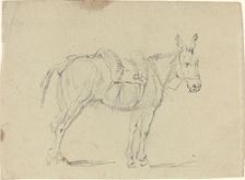 Donkey Stretching a Hind Leg. Creator: John Flaxman