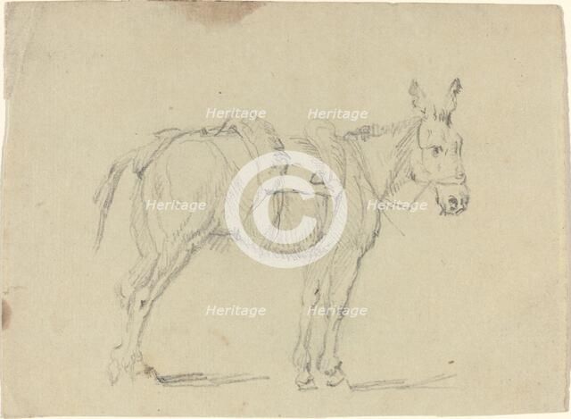 Donkey Stretching a Hind Leg. Creator: John Flaxman.