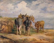 Donkeys c1831 (1904). Artist: James Ward