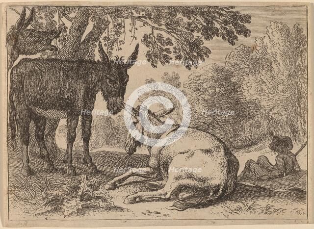 Donkeys. Creator: Herman van Swanevelt.