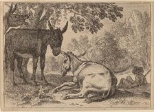 Donkeys. Creator: Herman van Swanevelt