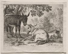 Donkeys. Creator: Herman van Swanevelt (Dutch, c. 1600-1655)